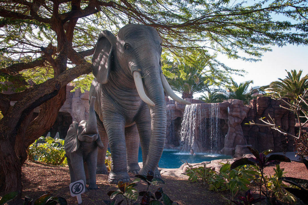 Lopesan Baobab Resort Lopesan Baobab Resort