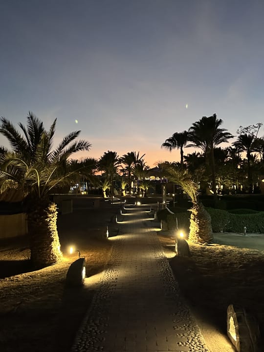 Gartenanlage Club Paradisio El Gouna, Red Sea