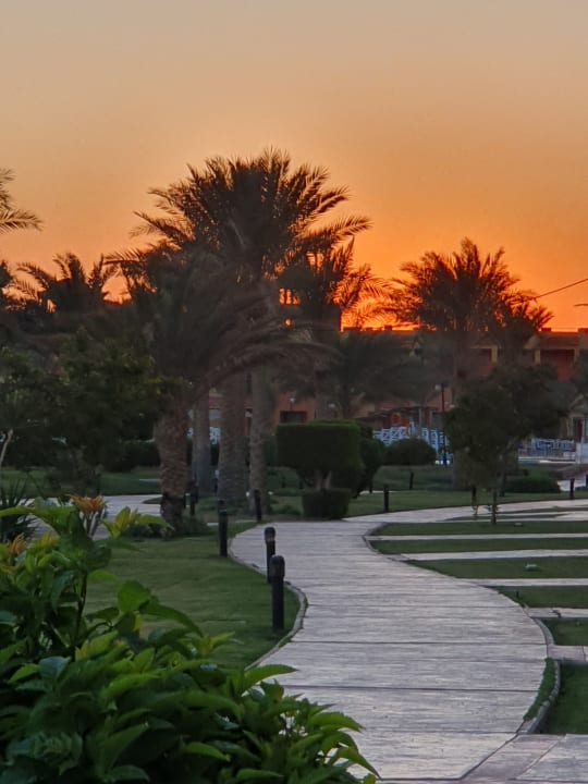 Gartenanlage Malikia Resort Abu Dabbab