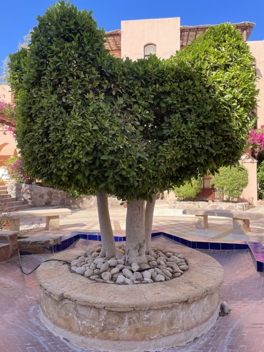 Gartenanlage Sultan Bey Hotel, El Gouna