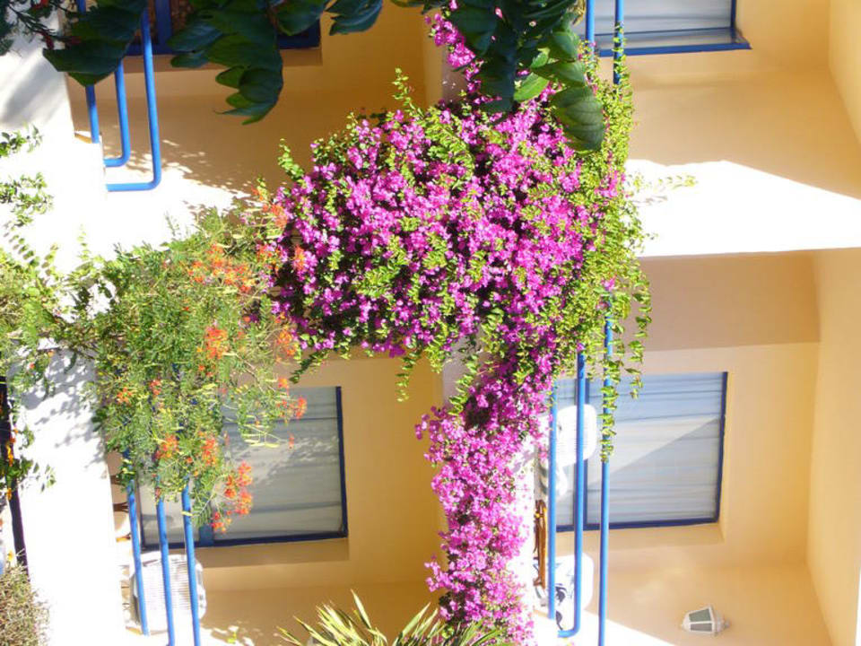 Корпус В Cataract Layalina Hotel Naama Bay