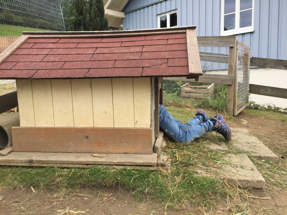 Sonstiges Ferienhof Sinz