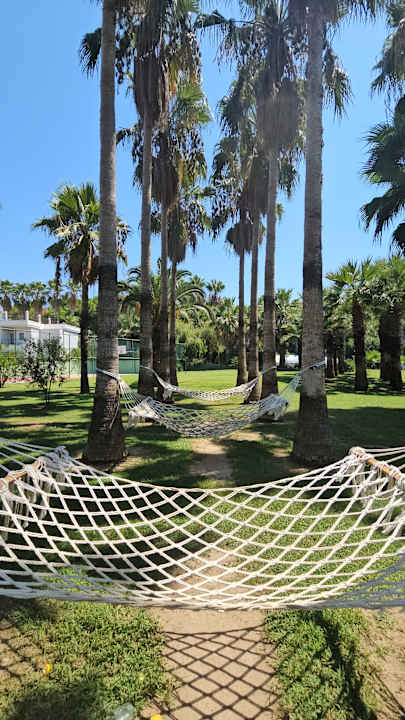 Gartenanlage Royal Atlantis Beach Hotel