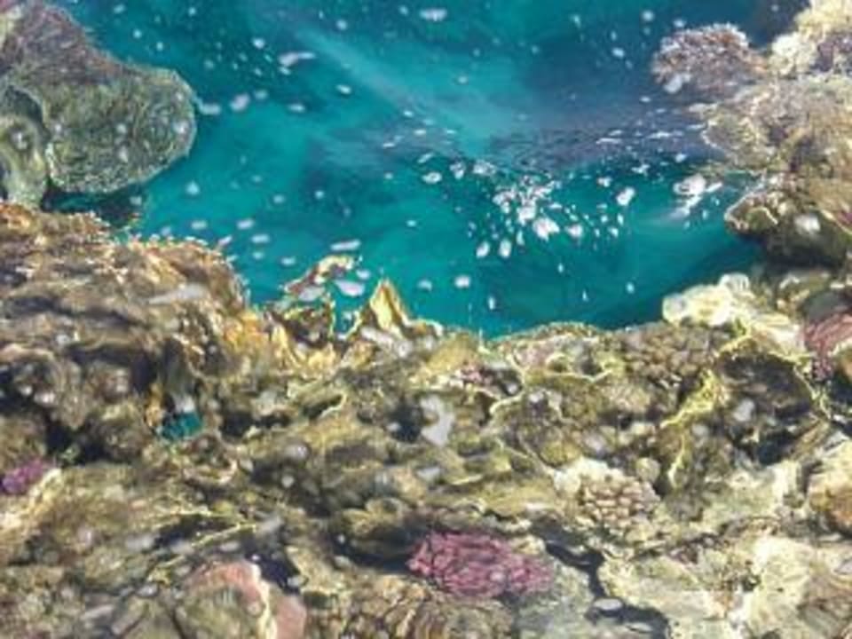 Riff am Steg TUI BLUE Samaya