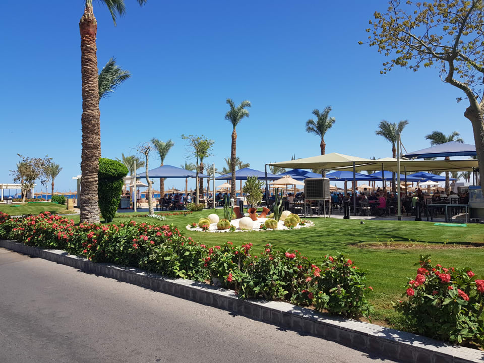 Gartenbllick  Pickalbatros Palace Resort