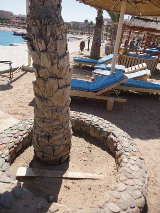 Plaża Pickalbatros Aqua Vista Resort - Hurghada