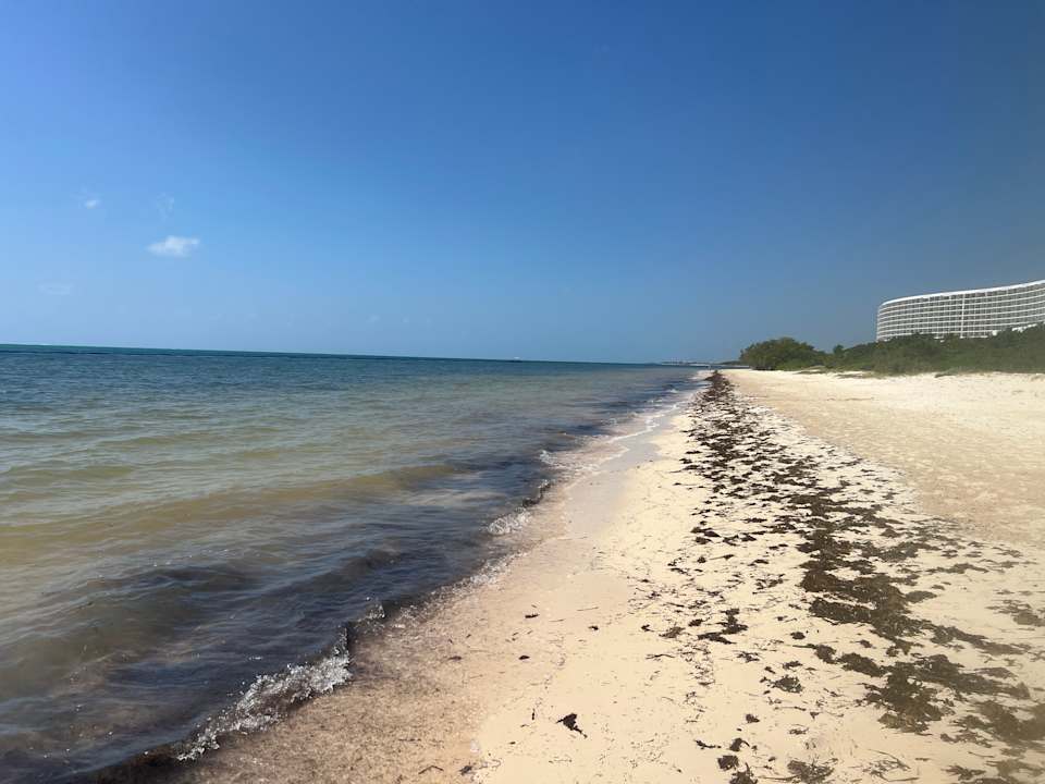 Strand AVA Resort Cancun - All Inclusive