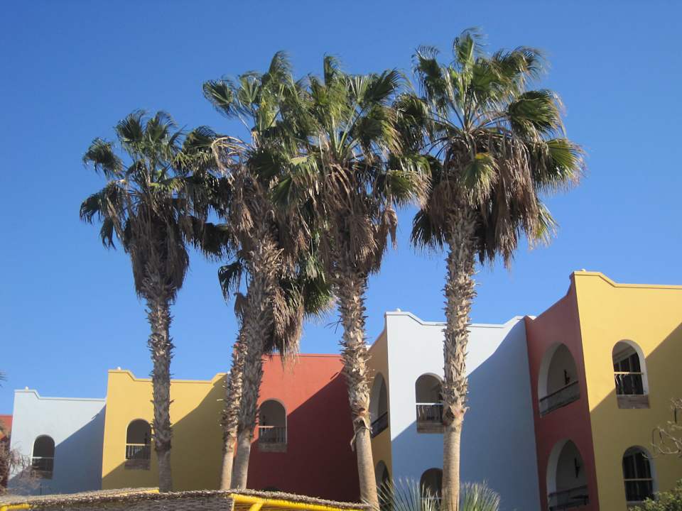 Außenansicht  Arabia Azur Resort