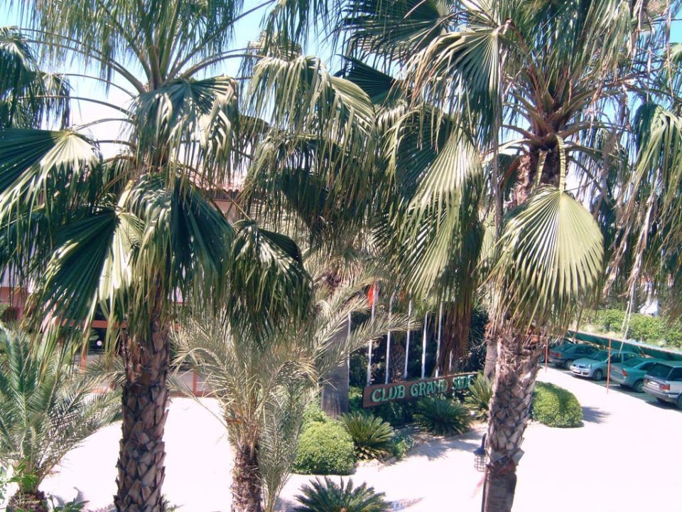 Blick vom Balkon Club Grand Side