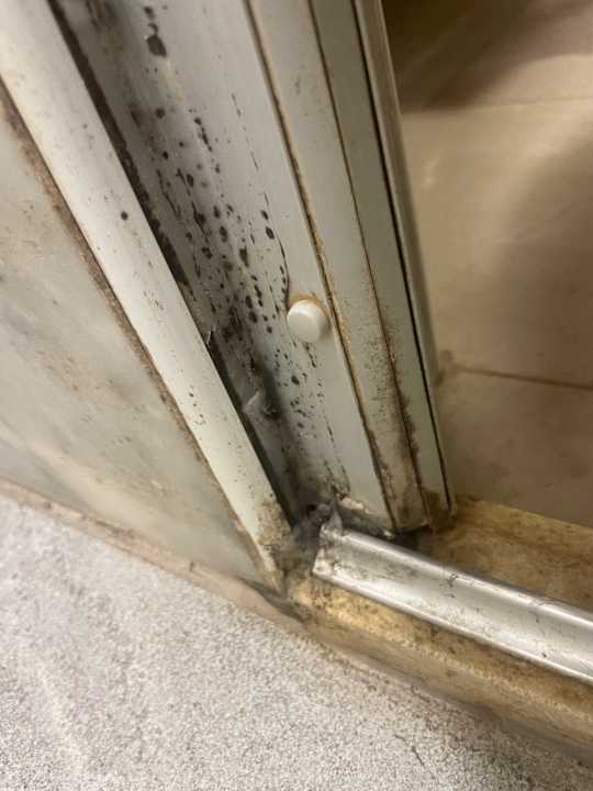 Zimmer Asteria Family Belek