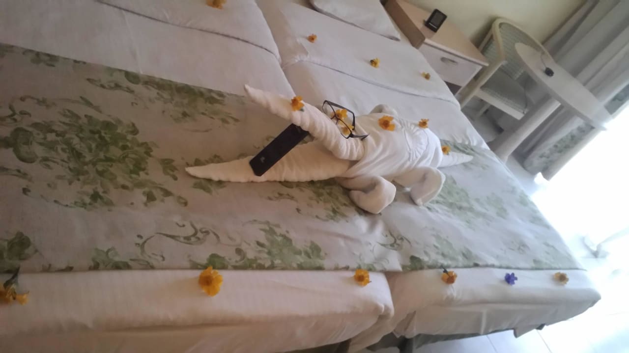 Krokodil Ghazala Gardens