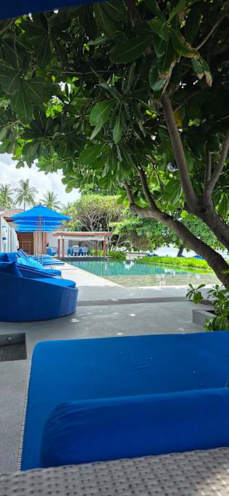 Pool Synergy Samui