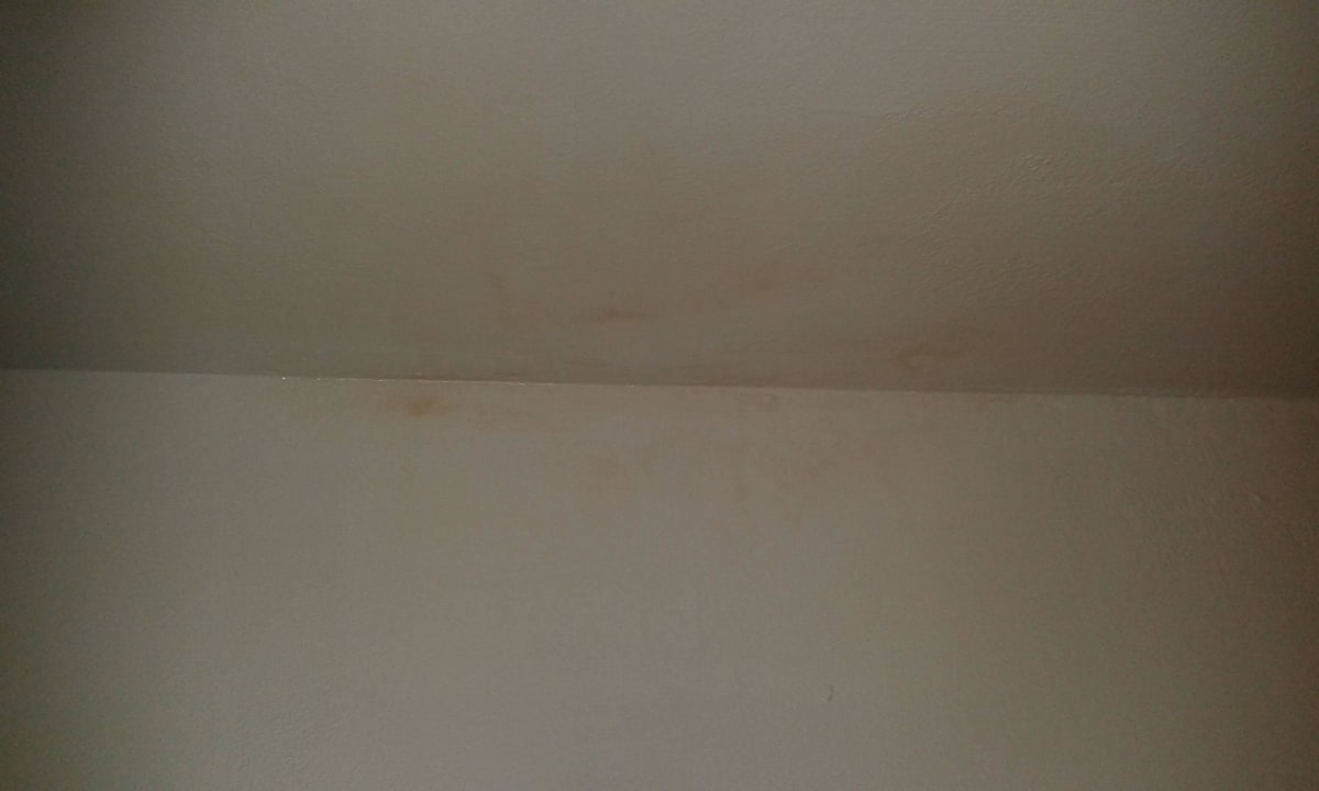 Schimmelflecken untem Lack Ferienhaus Lahnblick