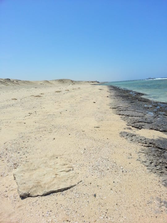 Hausstrand The Oasis Dive Resort