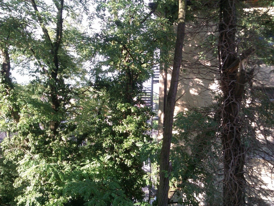 Ausblick Kurpark-Hotel Bad Dürkheim
