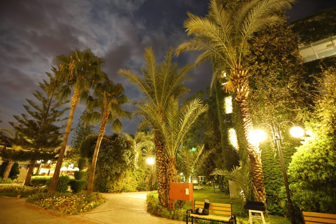 Palmiyeler Labranda Alantur Resort