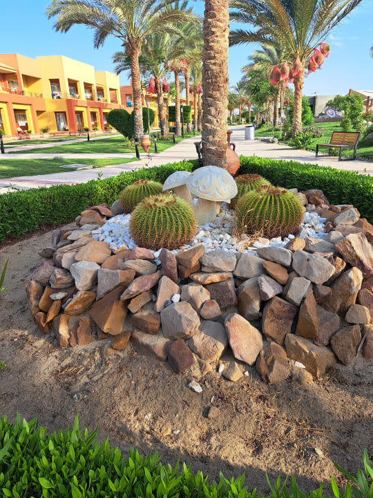 Außenansicht Malikia Resort Abu Dabbab