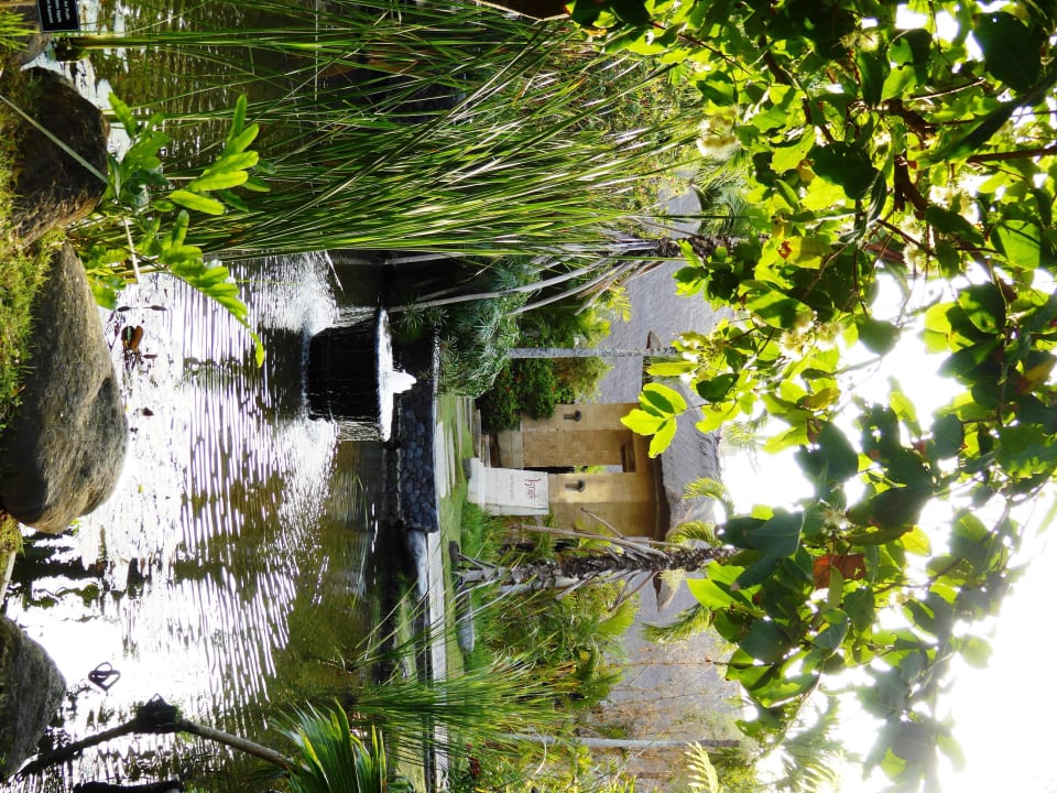 Teich The Royal Beach Seminyak Bali - MGallery Collection