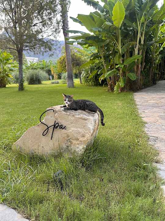 Gartenanlage Balmy Beach Resort Kemer