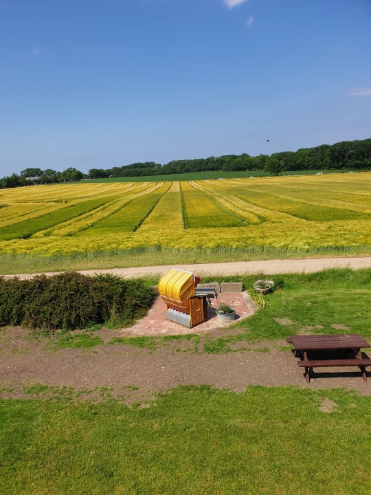 Ausblick Ferienbauernhof Liesenberg mit Meerblick