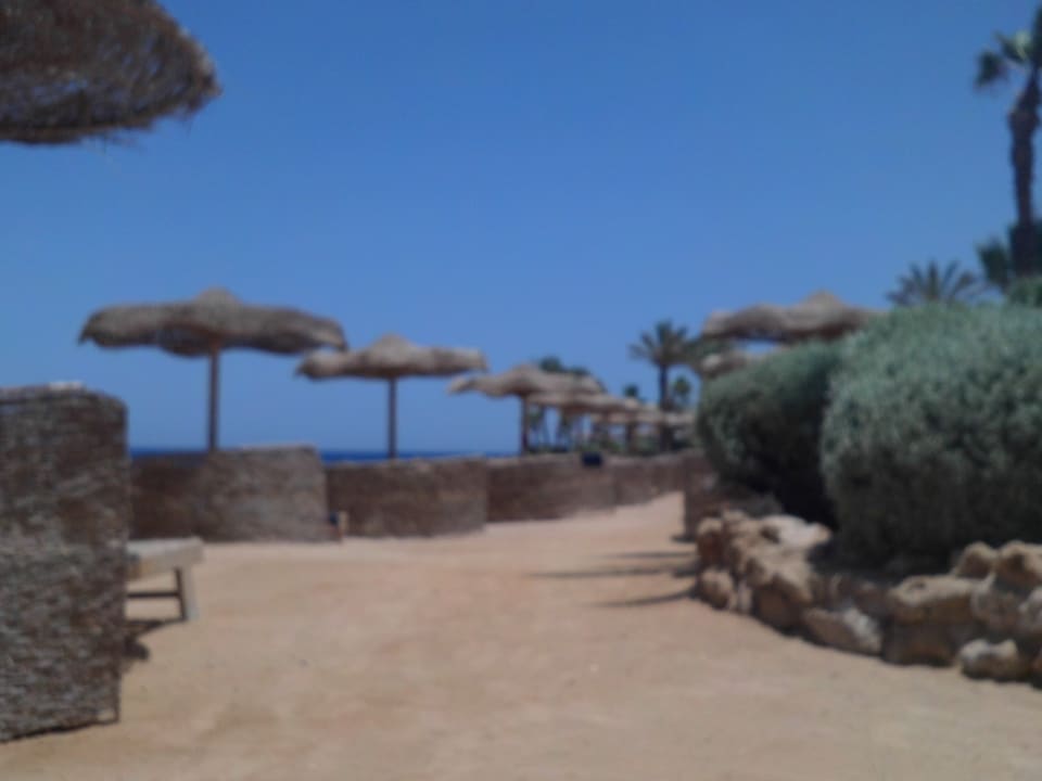 Strand Pickalbatros Citadel Resort