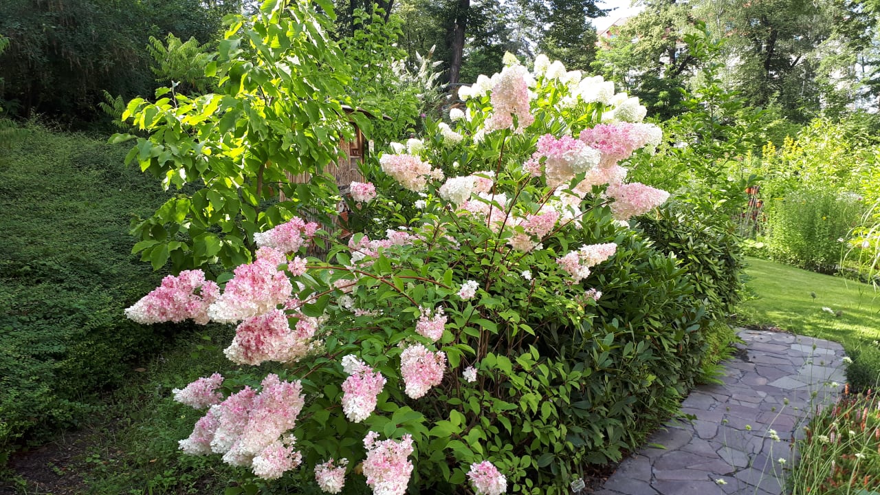 Gartenanlage Parkhotel Görlitz