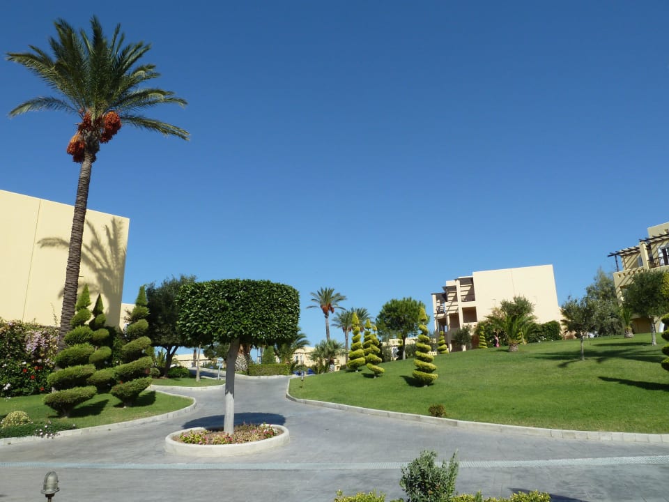 Immer wieder ein anderer  Blick Hotel Horizon Beach Resort