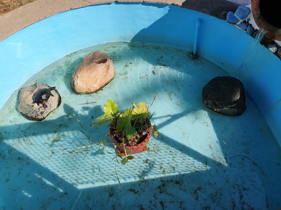 Außenansicht HL Miraflor Suites Hotel