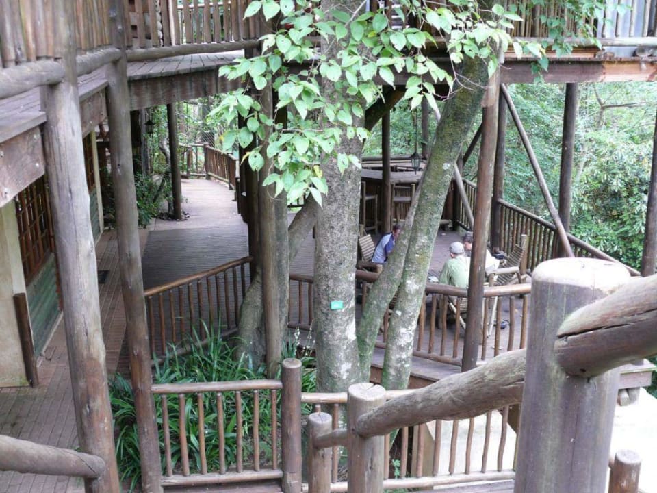 Holzterrasse Hotel Drifters Hazyview Inn