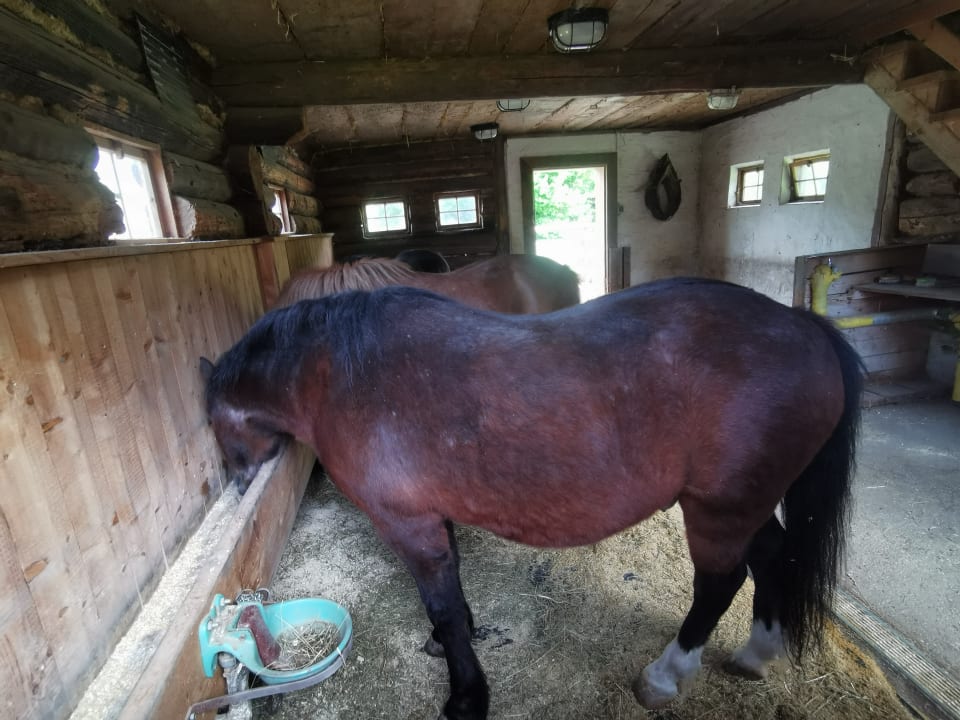 Sport & Freizeit Lerchs Landhotel