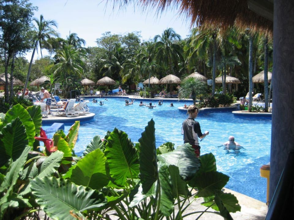 Pool Hotel Riu Tequila