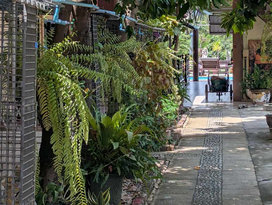 Zimmer Guesthouse Noble Night