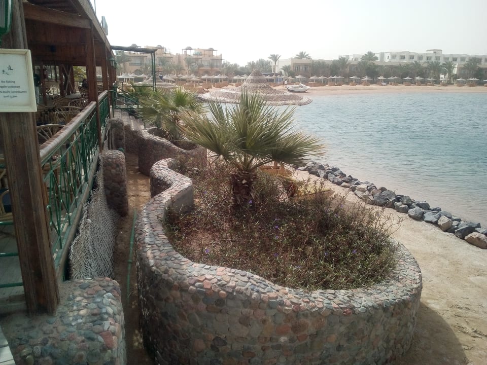 Ausblick Desert Rose