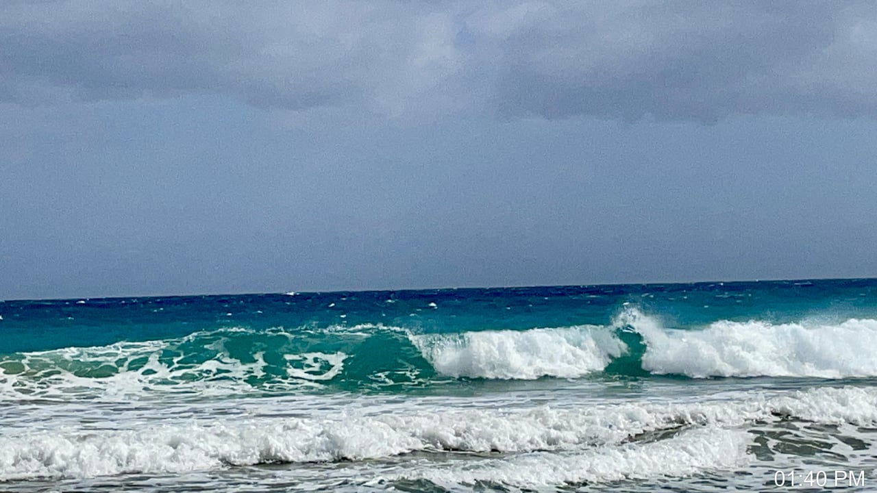 Ausblick Marina Playa Suite Hotel