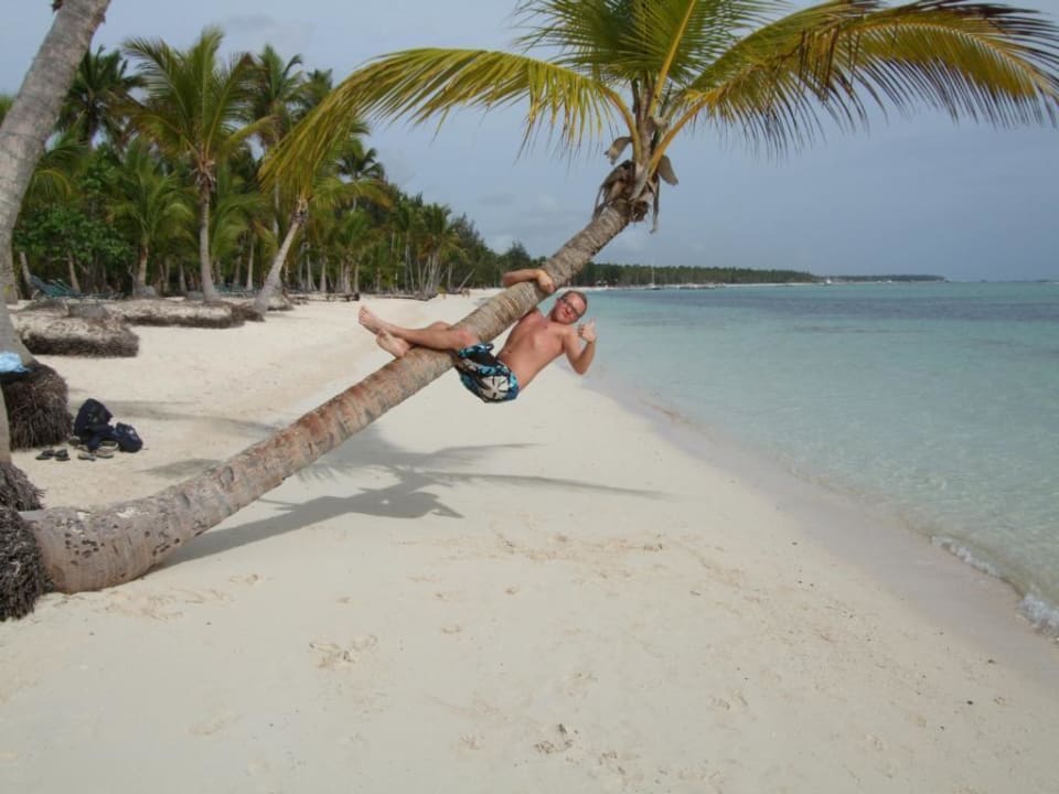 Auf der Palme Barceló Bávaro Palace