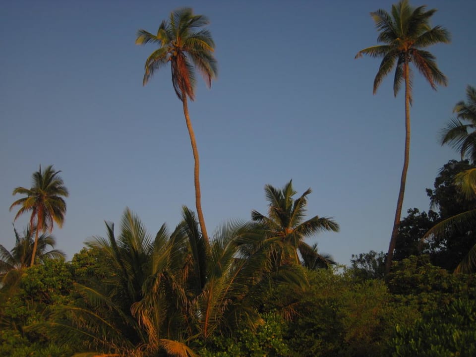 Nordseite Kuredu Island Resort & Spa