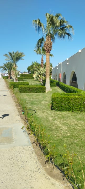 Gartenanlage Desert Rose