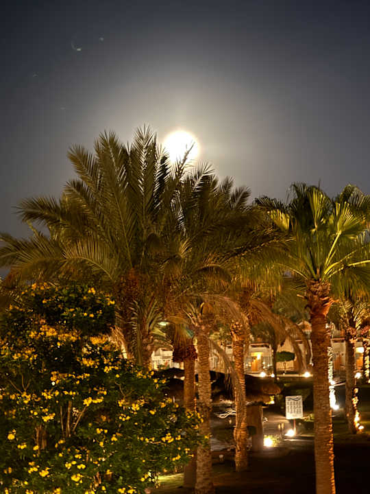 Ausblick Three Corners Sea Beach Resort