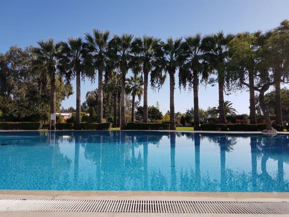 Pool Asteria Collection Side