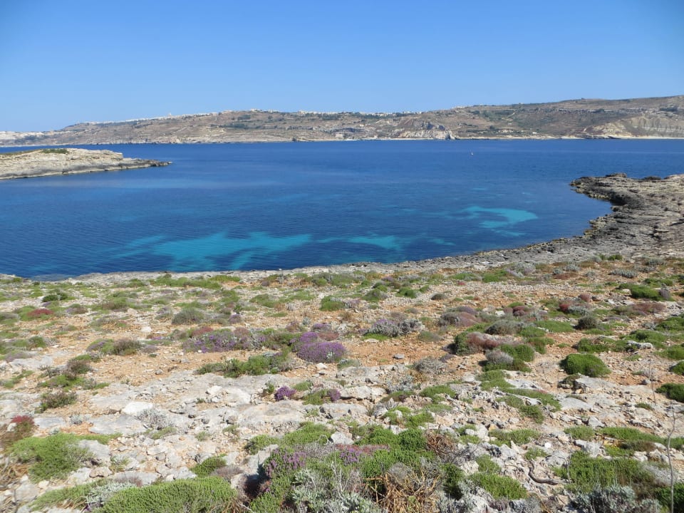 Der Weg Hotel zum Bungalow und der Ausblick am Weg Comino Hotel & Bungalows