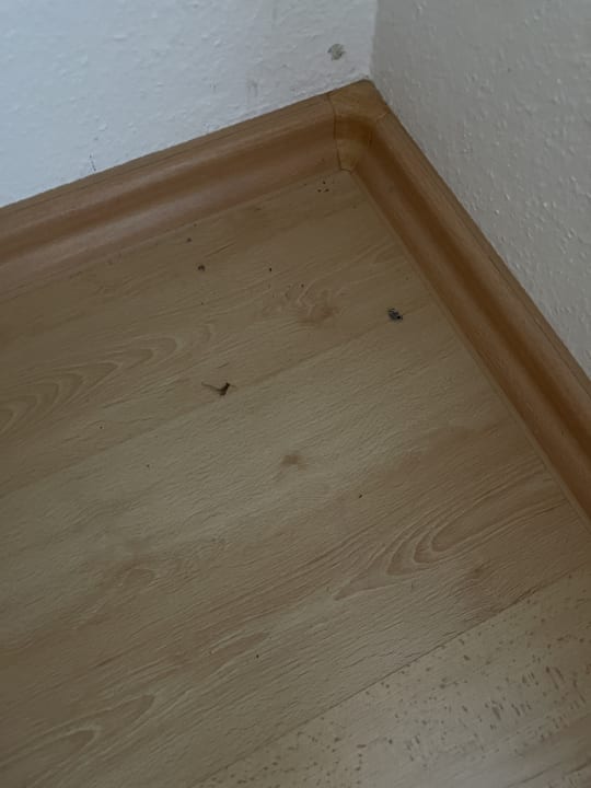 Zimmer Hotelpark Stadtbrauerei Arnstadt