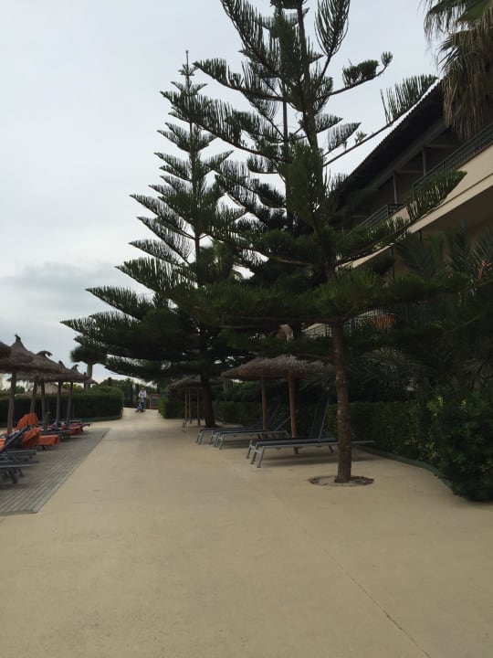 Ausblick allsun Hotel Eden Playa