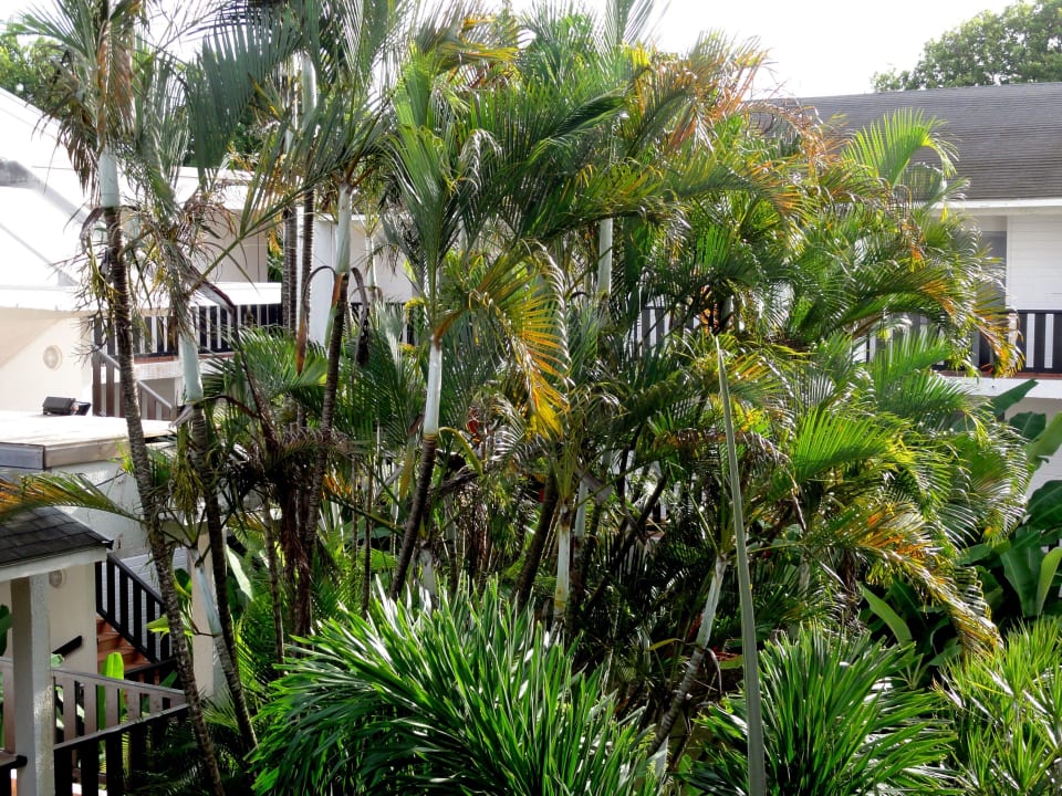 Innenhöfe der Hotelgebäude La Creole Beach Hotel & Spa