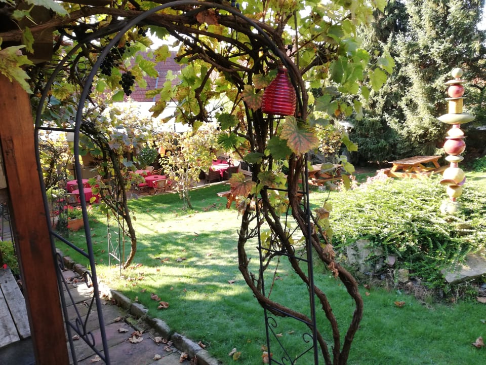 Gartenanlage Gästehaus Hennekens Hof