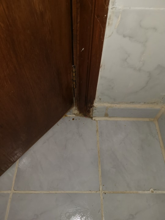 Zimmer Regency Plaza Aqua Park & Spa