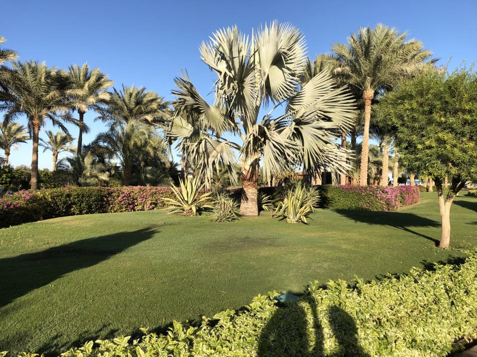 Garten Steigenberger ALDAU Beach Hotel