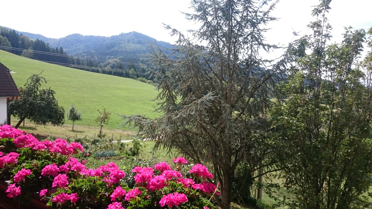 Gartenanlage Fischerhof - Urlaub auf dem Bauernhof