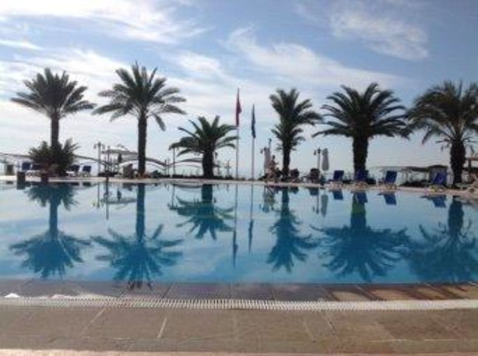 Poolanlage Papillon Belvil