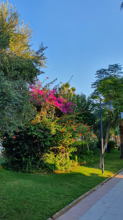 Gartenanlage Belek Beach Resort Hotel