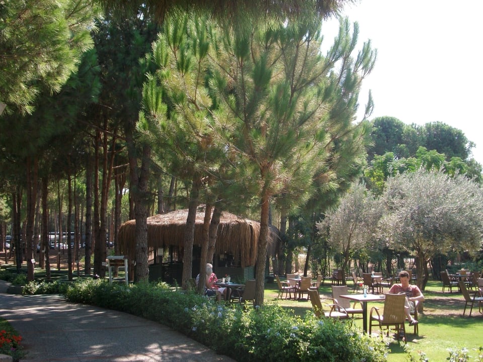 Bar und Gartenanlage Voyage Belek Golf & Spa